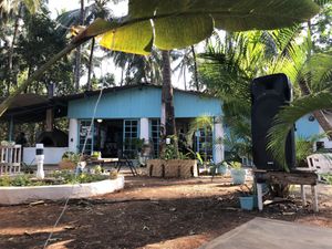   at Alter:native in Mandrem