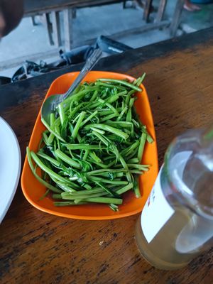Morning glory at Bam Bam in Koh Tao