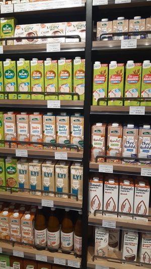 Wide range of plant-based milks at bio&bio - Kaptol in Zagreb