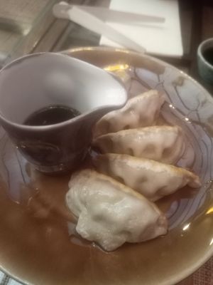 Gyoza at Temakinho in Florence