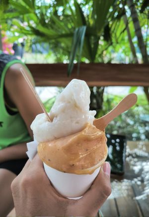 Tarrina mediana de tropical y guanábana at Gelato in Cahuita