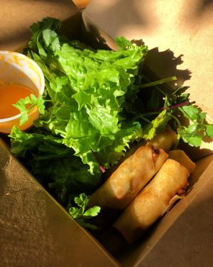 Vegan spring rolls at Nhà Mình in Ridgewood