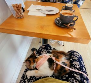  at Meow Cafe in Epping