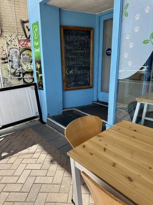   at Meow Cafe in Epping