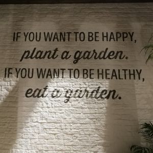  at Evergreen Organics - Gate Mall in Doha