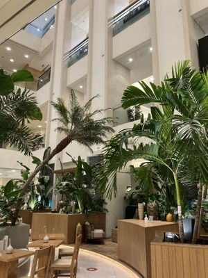   at Evergreen Organics - Gate Mall in Doha