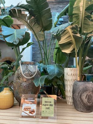 Jungle vibes! Beautiful and serene decor  at Evergreen Organics - Gate Mall in Doha