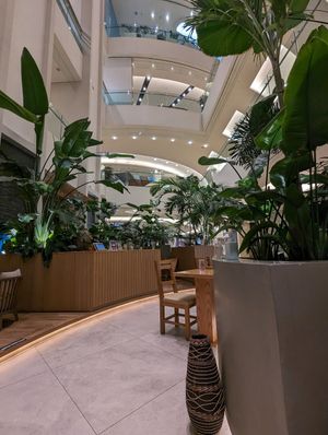  at Evergreen Organics - Gate Mall in Doha