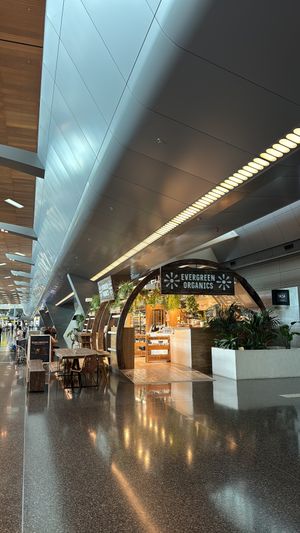 Qatars first vegan cafe (have the best soya cappuccino ive ever had) ive also tried their veggie snacks with hummus and loved that  at Evergreen Organics - Gate Mall in Doha