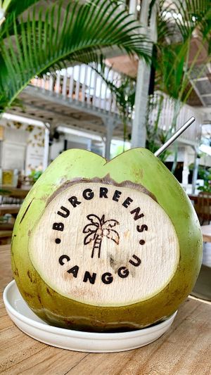 Whole Coconut  at Burgreens Canggu - Healthy Plant-Based Eatery in Canggu