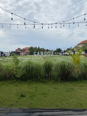  at Burgreens Canggu - Healthy Plant-Based Eatery in Canggu
