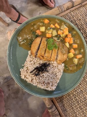 Katsu Curry  at Burgreens Canggu - Healthy Plant-Based Eatery in Canggu