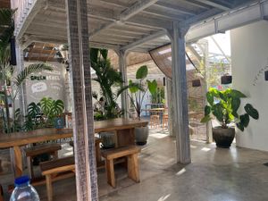 Super chill   at Burgreens Canggu - Healthy Plant-Based Eatery in Canggu