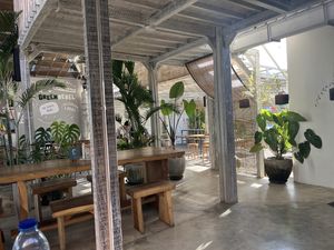 Very chill  at Burgreens Canggu - Healthy Plant-Based Eatery in Canggu