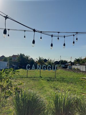  at Burgreens Canggu - Healthy Plant-Based Eatery in Canggu