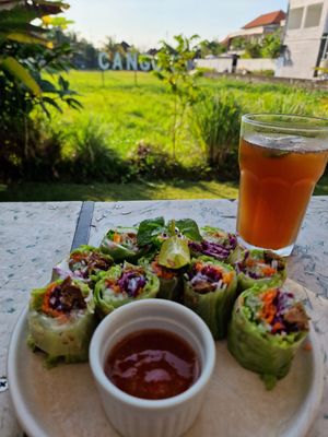 Beef Summerrolls at Burgreens Canggu - Healthy Plant-Based Eatery in Canggu