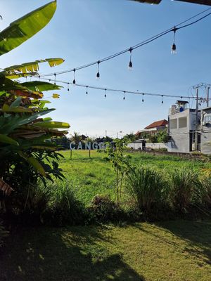 Gardenview at Burgreens Canggu - Healthy Plant-Based Eatery in Canggu