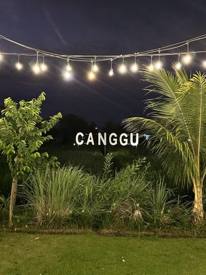   at Burgreens Canggu - Healthy Plant-Based Eatery in Canggu
