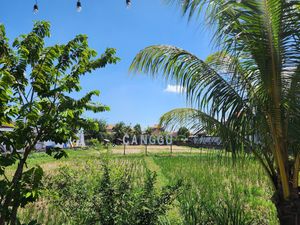  at Burgreens Canggu - Healthy Plant-Based Eatery in Canggu