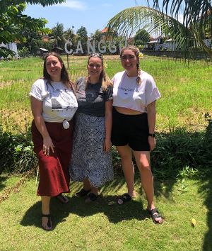   at Burgreens Canggu - Healthy Plant-Based Eatery in Canggu