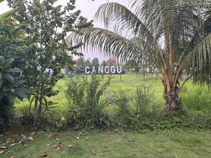   at Burgreens Canggu - Healthy Plant-Based Eatery in Canggu