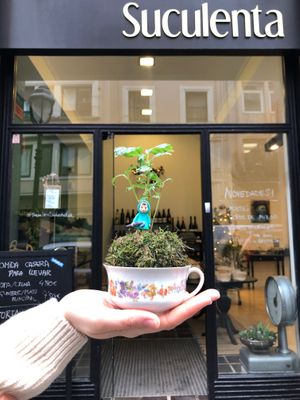  at Suculenta- Alimentos de Origen Vegetal in Bilbao