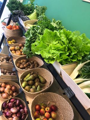 Fresh vegetables  at Suculenta- Alimentos de Origen Vegetal in Bilbao