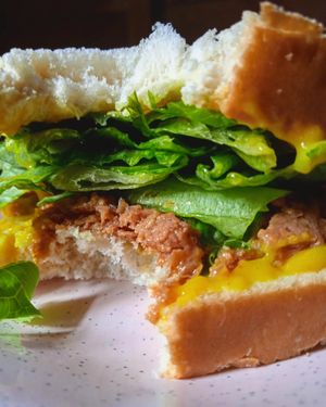  at Bardaria in Arambare