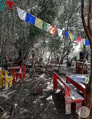  at Bardaria in Arambare