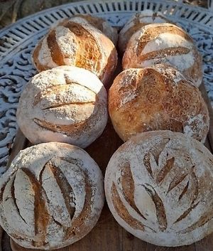  at Bardaria in Arambare