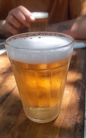  at Bardaria in Arambare