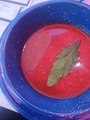 🤩 at La PlantisquerÍa in Mexico City