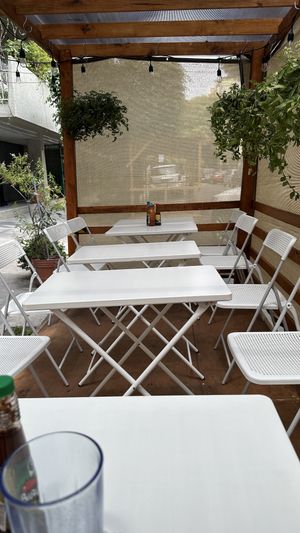 Patio dining  at La PlantisquerÍa in Mexico City