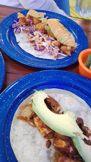 Taco Baja, Taco Diabla at La PlantisquerÍa in Mexico City