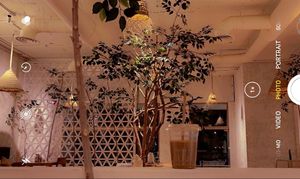   at Terra's Table in Riyadh