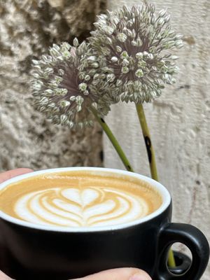   at Kakantun in Split