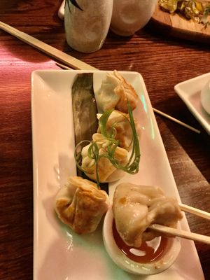 Vegan dumplings at Chow in Wellington