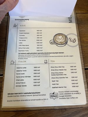   at Goosebumps Coffee Lab in Budapest