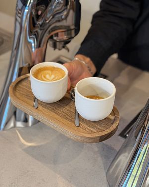  at Goosebumps Coffee Lab in Budapest