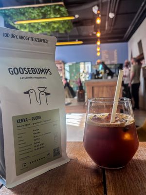   at Goosebumps Coffee Lab in Budapest