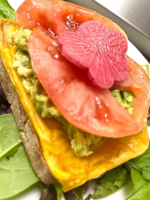Grilled cheese on the house made sour dough toast! Gluten free house made sour dough bread with cheese, mashed avocado and fresh tomato at Botanika Cafe in Ridgefield