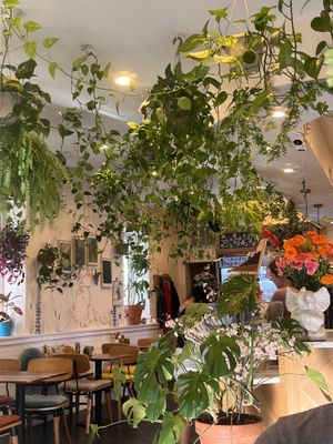   at Botanika Cafe in Ridgefield