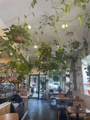   at Botanika Cafe in Ridgefield