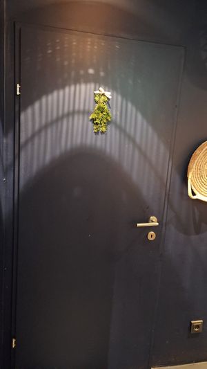  at The Naked Indigo in Innsbruck