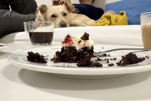 Brownies  at Café In The Ghetto in Brno