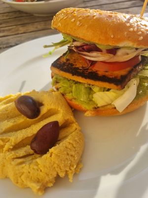 Dschungel Bagel at Dschungel in Vienna