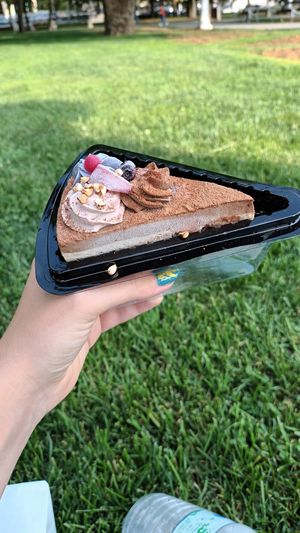 Tiramisu pie at CicoCebali Vegan Mutfak in Istanbul