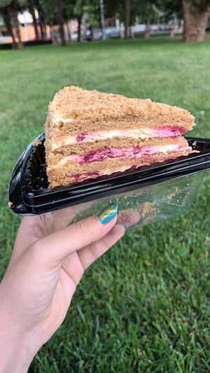Red berries (?) cake at CicoCebali Vegan Mutfak in Istanbul