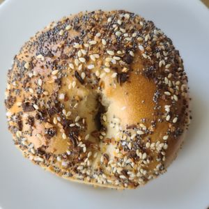 Everything bagel (vegan) at Starship Bagel in Lewisville
