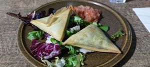 Entrée samosa at Le Petit Veg in Paris